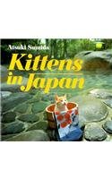 Kittens in Japan