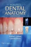 Woelfel's Dental Anatomy: Its Relevance to Dentistry by Sche