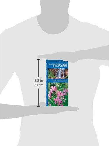 Yellowstone Trees & Wildflowers: A Folding Pocket Guide to Familiar Plants of the Yellowstone Area (Wildlife and Nature Identification)