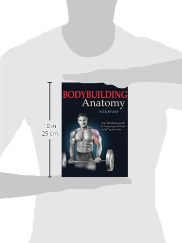 Bodybuilding Anatomy