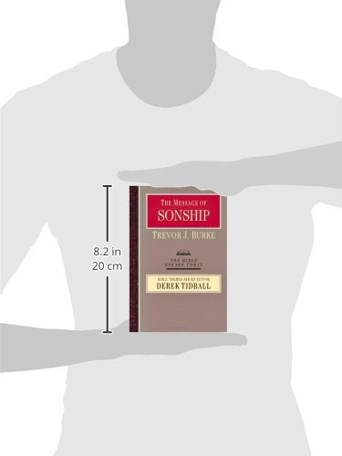 The Message of Sonship (The Bible Speaks Today Bible Themes Series)