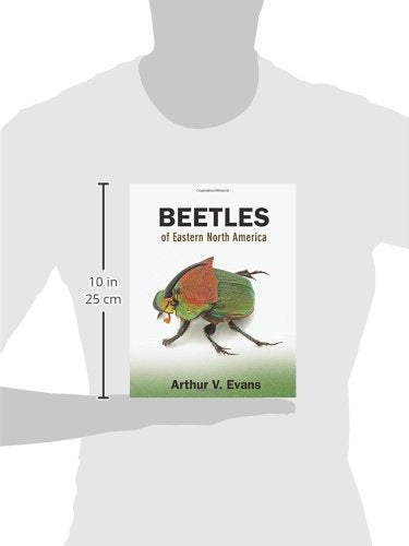 Beetles of Eastern North America