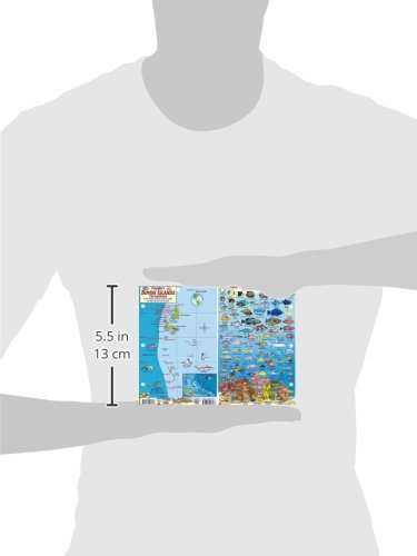 Bimini Islands Bahamas Dive Map & Reef Creatures Waterproof Fish Card