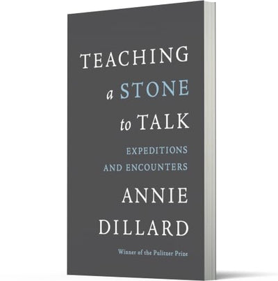 Teaching a Stone to Talk: Expeditions and Encounters