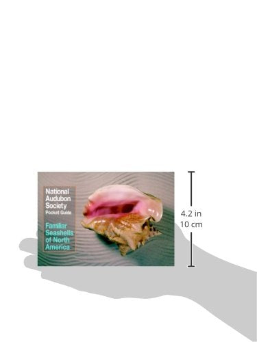 National Audubon Society Pocket Guide to Familiar Seashells (Audubon Society Pocket Guides)
