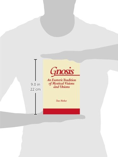 Gnosis: An Esoteric Tradition of Mystical Visions and Unions (Suny Series in Western Esoteric Traditions)