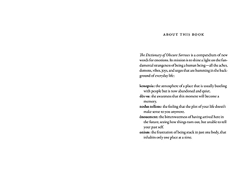 The Dictionary of Obscure Sorrows — back cover