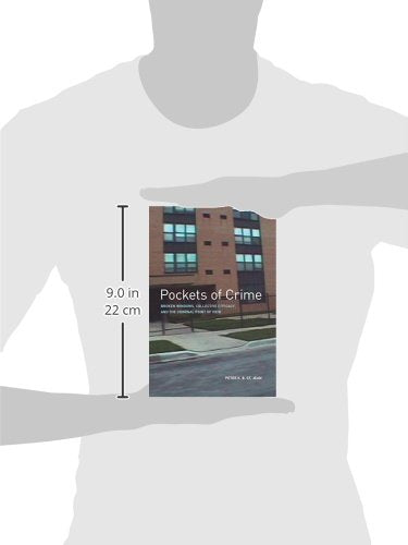Pockets of Crime: Broken Windows, Collective Efficacy, and the Criminal Point of View