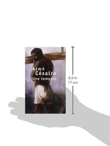 Une Tempete (French Edition)