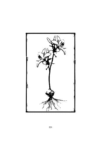 The Lost Art of Dying: Reviving Forgotten Wisdom
