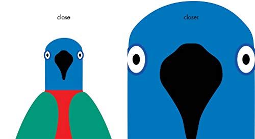 Comparrotives (A Grammar Zoo Book): A Board Book — back cover