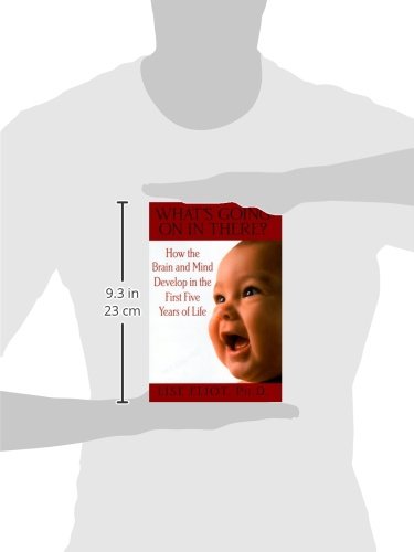What's Going on in There?: How the Brain and Mind Develop in