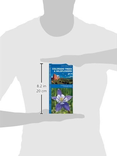 Colorado Trees & Wildflowers: A Folding Pocket Guide to Familiar Plants (Nature Observation North America)
