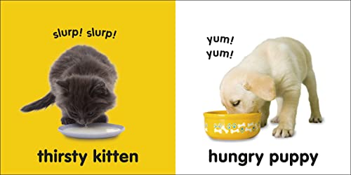 Baby Touch and Feel: Puppies and Kittens