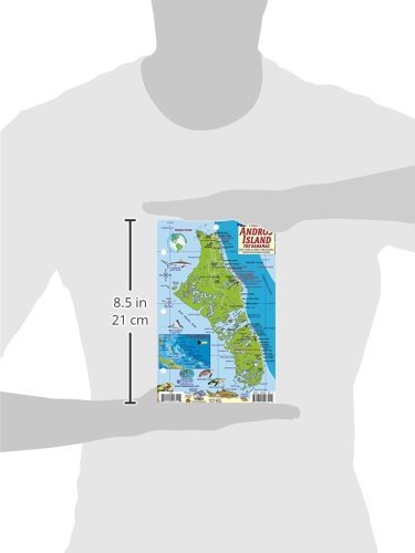 Andros Island Bahamas Dive Map & Reef Creatures Guide Franko Maps Laminated Fish Card