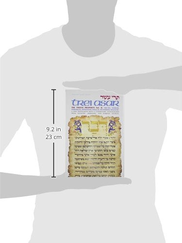Trei Asar: The Twelve Prophets Vol. II: / A New Translation With A Commentary Anthologized From Talmudic, Midrashic, And Rabbinic Sources (Artscroll Tanach Series) (English and Hebrew Edition)
