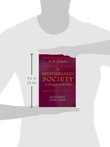 Mediterranean Society, An Abridgment in One Volume by S. D.