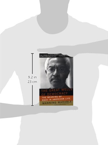 The Great Wells Of Democracy: The Meaning Of Race In American Life