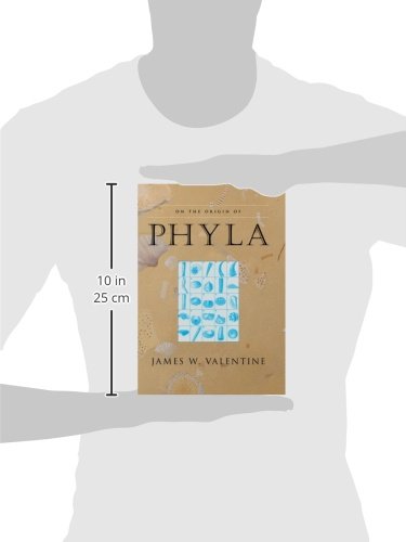 On the Origin of Phyla