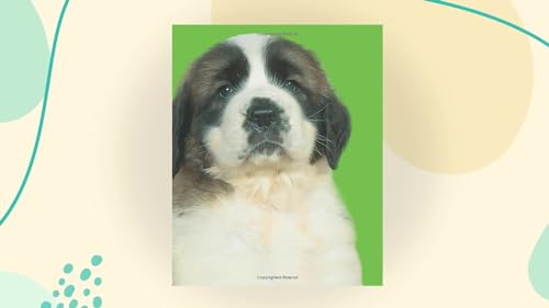 Bright Baby Touch & Feel Perfect Pets (Bright Baby Touch and Feel)