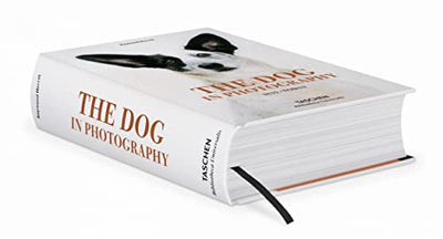 The Dog in Photography / Der Hund In Der Fotografie / Le Chien Dans La Photographie: 1839-today