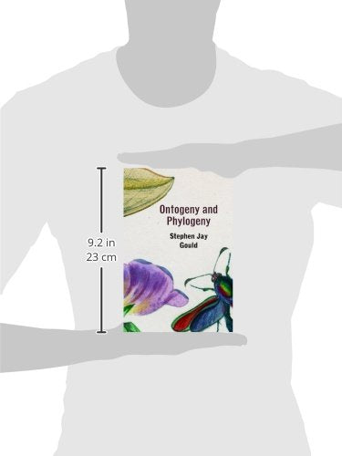 Ontogeny and Phylogeny