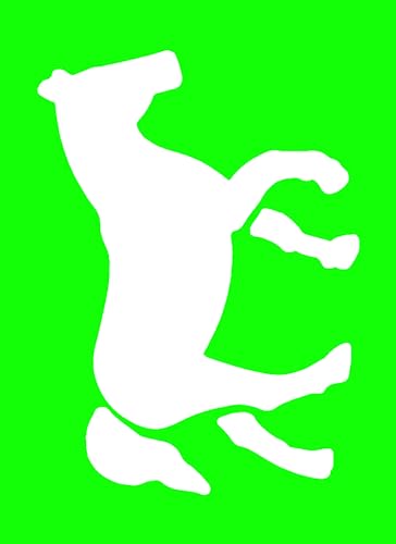 Fun with Stencils: Horses (Dover Little Activity Books: Animals)