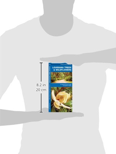Louisiana Trees & Wildflowers: A Folding Pocket Guide to Familiar Plants (Wildlife and Nature Identification)