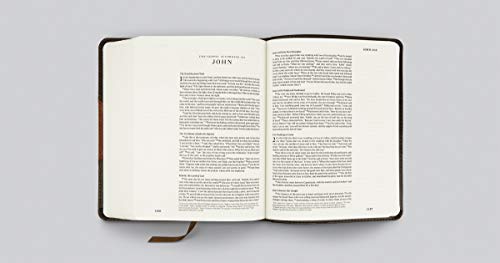 ESV Single Column Journaling Bible (TruTone, Brown/Cordovan, Portfolio Design)