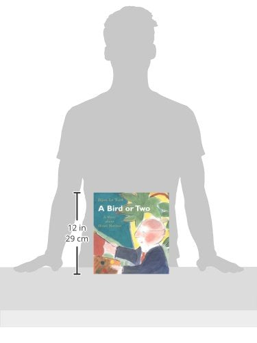 A Bird or Two: A Story About Henri Matisse (Incredible Lives for Young Readers (ILYR))