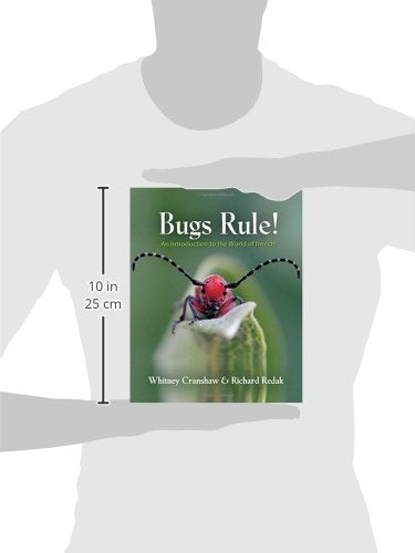 Bugs Rule!: An Introduction to the World of Insects — back cover