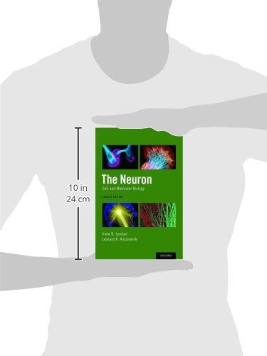 The Neuron: Cell and Molecular Biology
