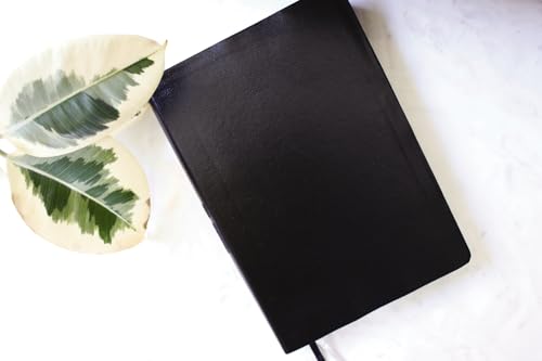 NIV, Quest Study Bible, Large Print, Bonded Leather, Black, Comfort Print: The Only Q and A Study Bible