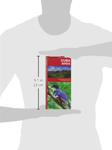 Cuba Birds: A Folding Pocket Guide to Familiar Species (Wildlife and Nature Identification)