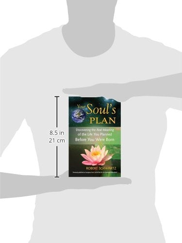 Your Soul's Plan: Discovering the Real Meaning of the Life You Planned Before You Were Born