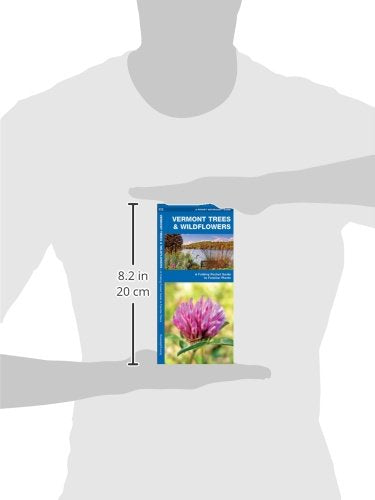 Vermont Trees & Wildflowers: A Folding Pocket Guide to Familiar Plants (Wildlife and Nature Identification)