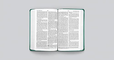 ESV Premium Gift Bible (TruTone, Teal, Floral Design): Holy