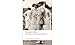 The Theory of the Leisure Class (Oxford World's Classics)