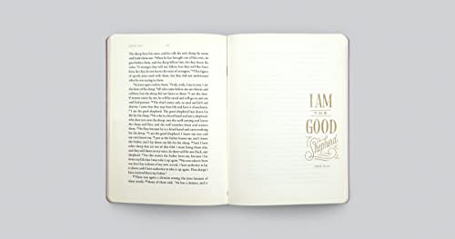ESV Illuminated Scripture Journal: John