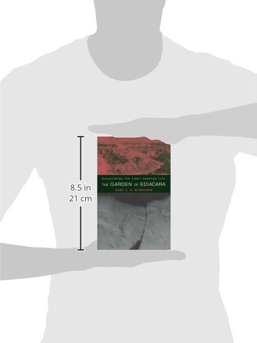The Garden of Ediacara