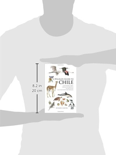 A Wildlife Guide to Chile: Continental Chile, Chilean Antarctica, Easter Island, Juan Fernández Archipelago