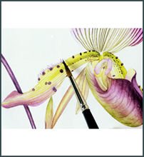 Watercolour Flower Portraits
