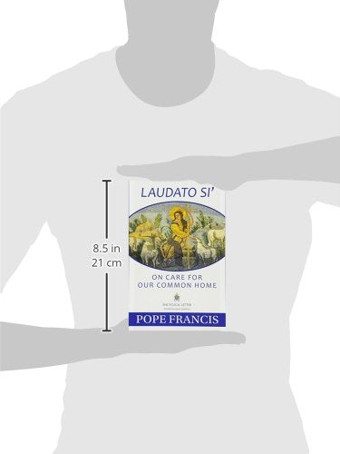 Laudato Si': On Care for Our Common Home by Pope Francis