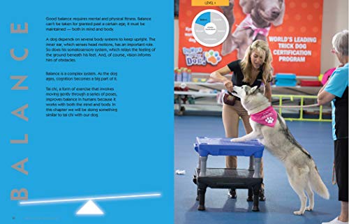 Kyra's Canine Conditioning: Peak Performance Injury Prevention Coordination Flexibility Rehabilitation (Volume 8) (Dog Tricks and Training, 8)