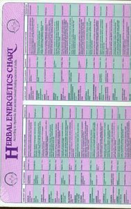 Herbal Energetics Chart 9" x 12"