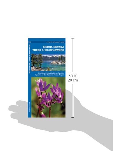 Sierra Nevada Trees & Wildflowers: A Folding Pocket Guide to Familiar Plants of the Montane Forest Region (Wildlife and Nature Identification)