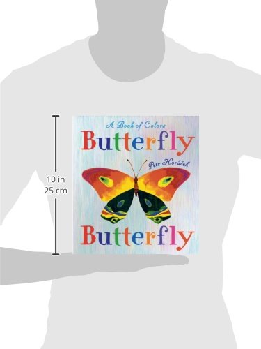 Butterfly Butterfly: A Book of Colors by Horacek, Petr