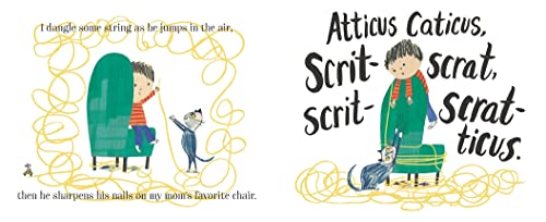 Atticus Caticus — back cover