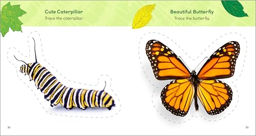 The Backyard Bug Book for Kids: Storybook, Insect Facts, and Activities (Little Scientists Learn)
