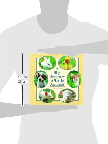 Big Treasury of Little Animals
